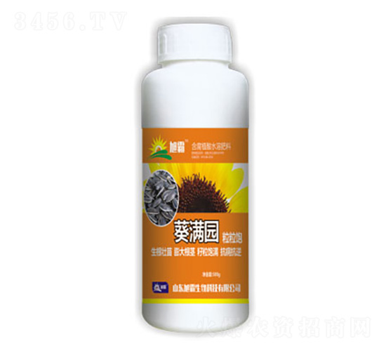 ���M�@-�������