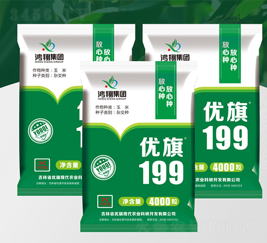 優旗199-玉米種子-鴻翔種業