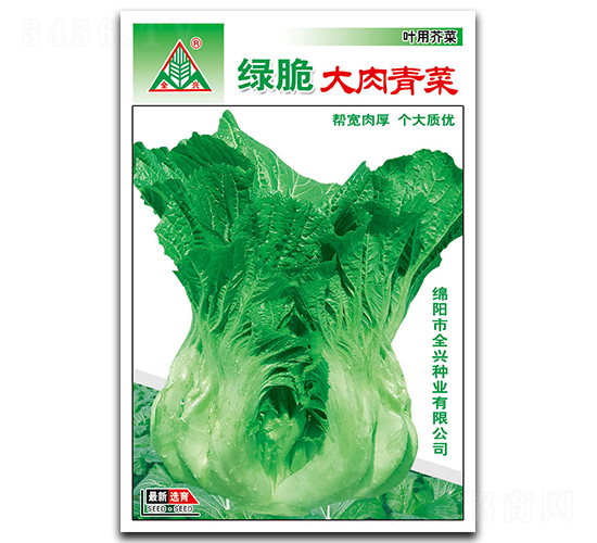 綠脆大肉青菜-青菜種子-全興種業