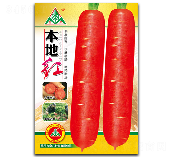 ���ؼt���}���N��-ȫ�d�N�I(y��)