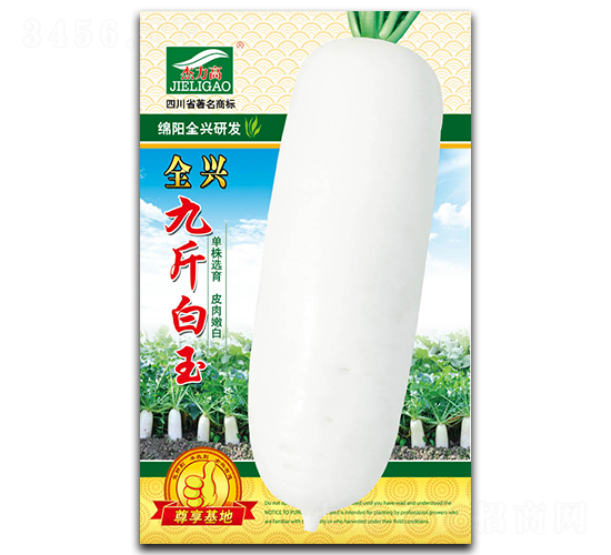 �Ž����-�L(zh��ng)���}���N��-ȫ�d�N�I(y��)