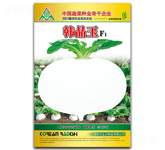 韓晶玉-圓白蘿卜種子-全興種業