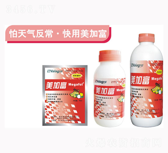 ���Ӹ��������߄�-��ʿ�r�I