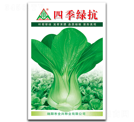 四季綠抗-青梗菜種子-全興種業