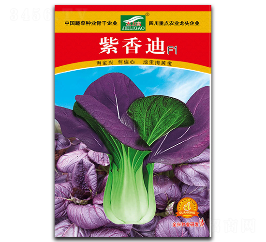 紫香迪-青梗菜種子-全興種業