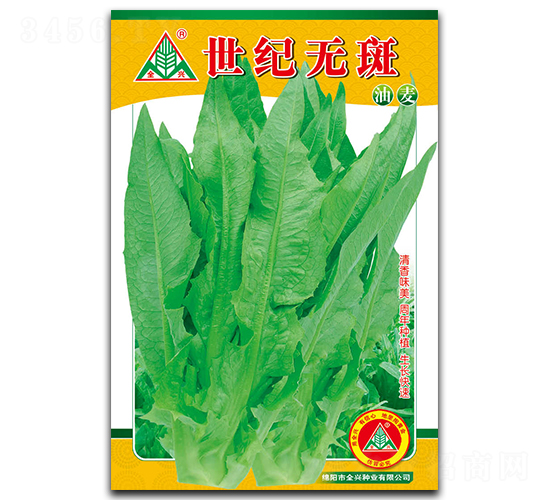 世紀無斑油麥-油麥菜種子-全興種業