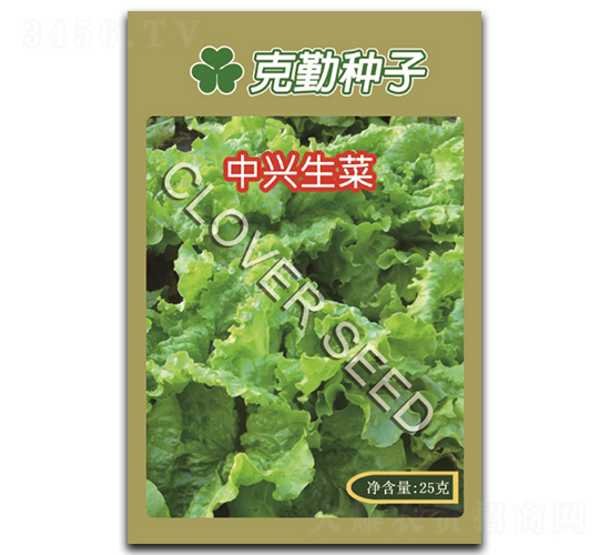 中興生菜-生菜種子-克勤種子