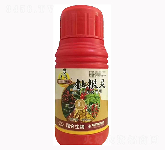 ��ˎ�ĉѸ��`-�����_(d��)