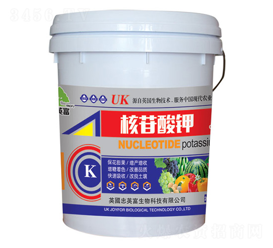 20kg�������-�|���S