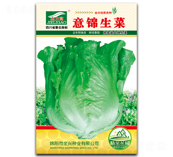 意錦生菜-生菜種子-全興種業