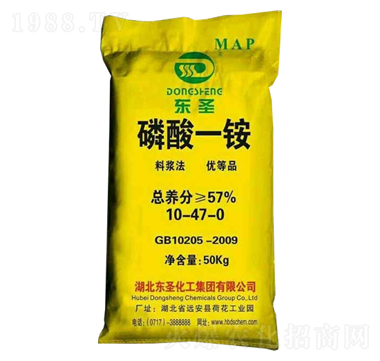 ����һ�@10-47-0-�|ʥ����