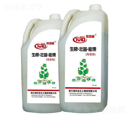 �����������������������-����ʿ