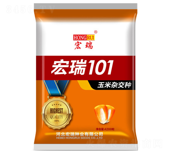 ����101-���׷N��-����N�I