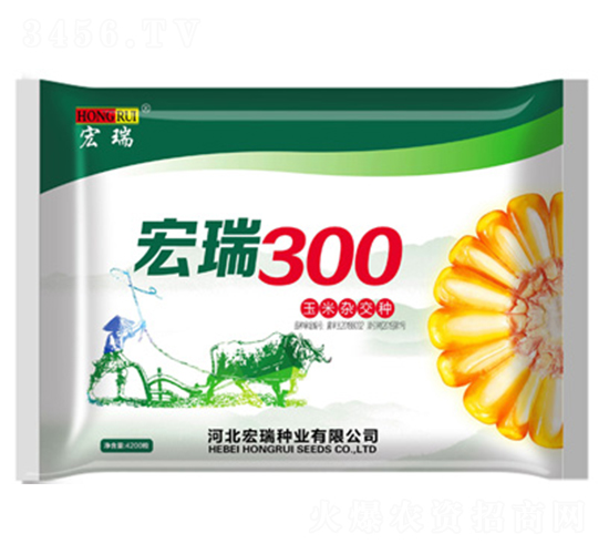 ����300-���׷N��-����N�I