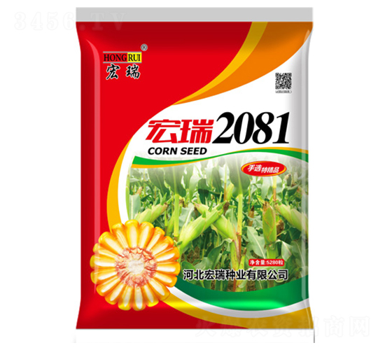 ����2081���t��-���׷N��-����N�I