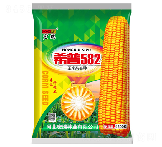 ϣ��582-���׷N��-����N�I