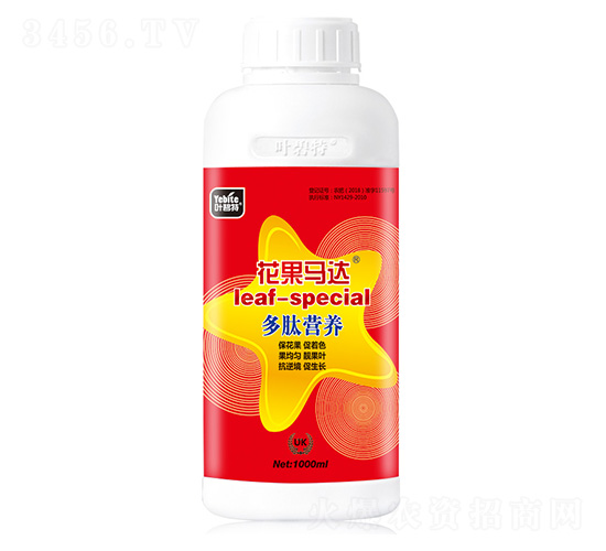 花果馬達-葉碧特