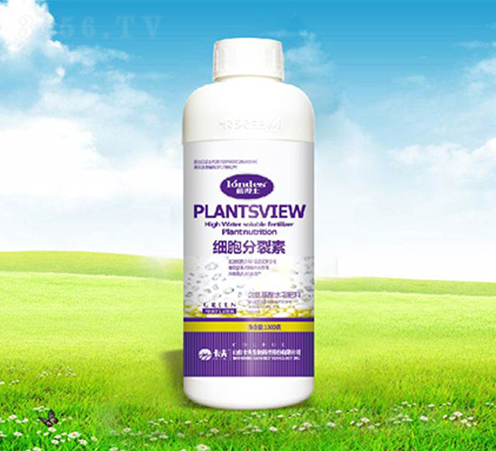 ����������-����