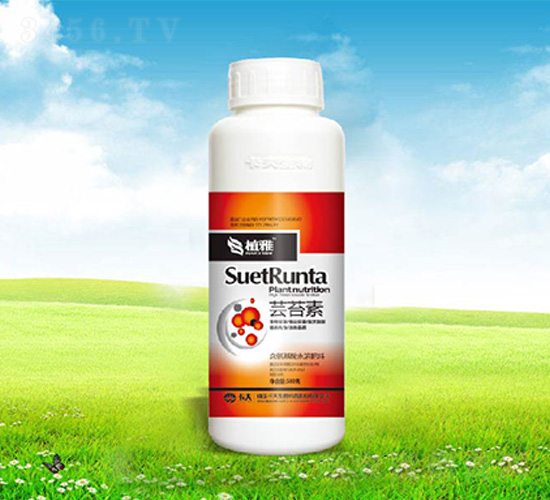 �|̦��-����