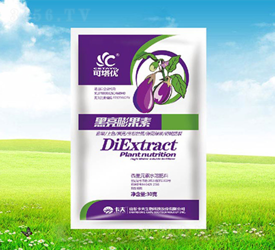 ���������-������-����