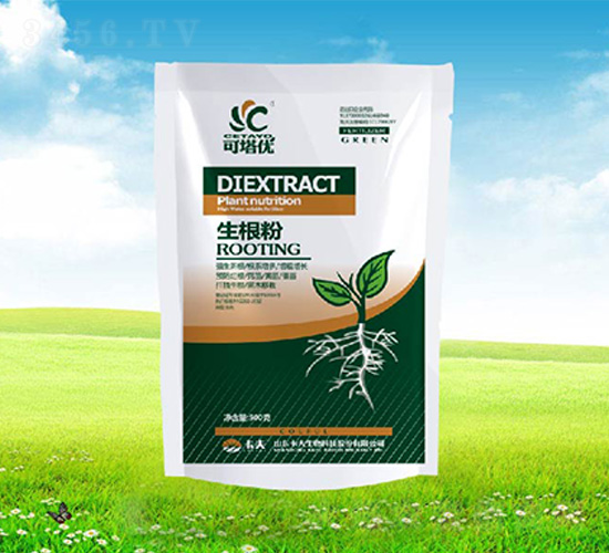 ������-������-����