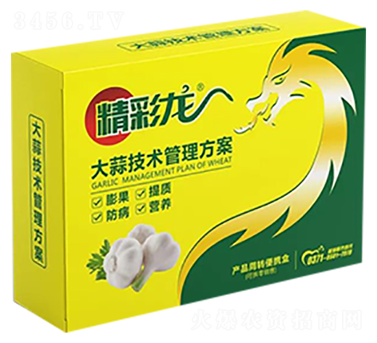 ���⼼�g��������-������-����r�I