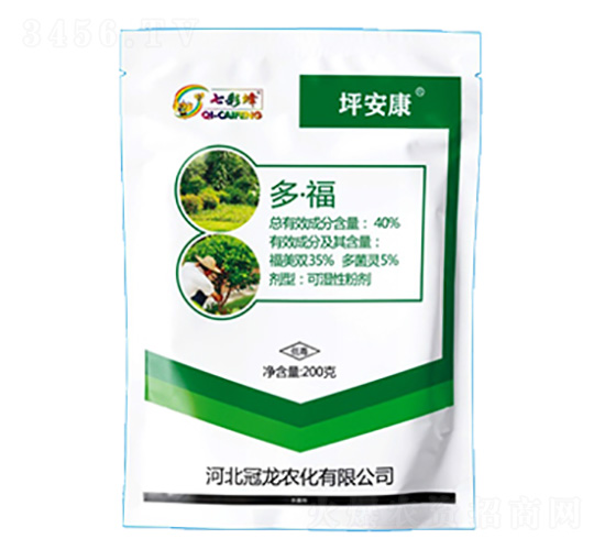 40%�ࡤ��-ƺ����-������r