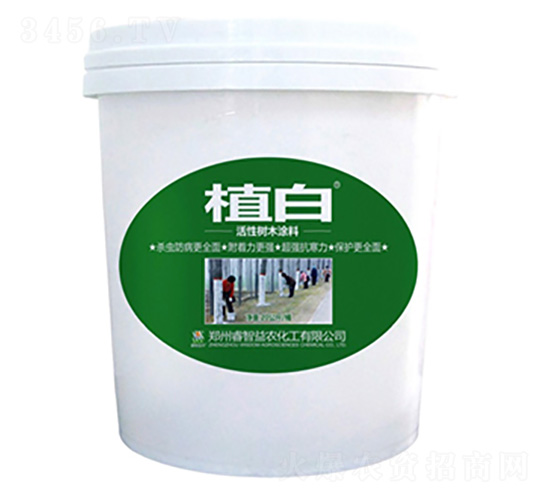 20����ֲ�׻��Ԙ�ľͿ��-������r