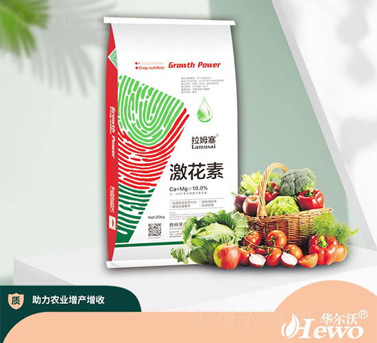 ������-��ķ��-�A����