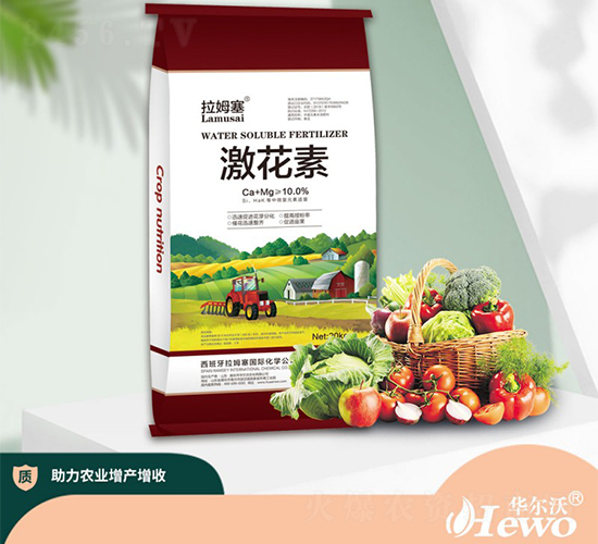 �����أ��t��-��ķ��-�A����