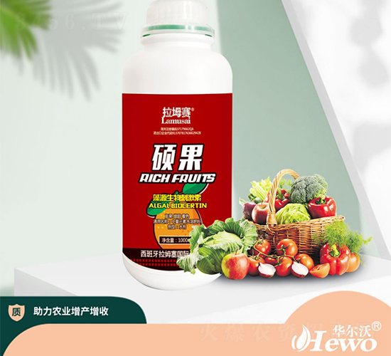 �T����Դ����̼���-����ِ-�A����