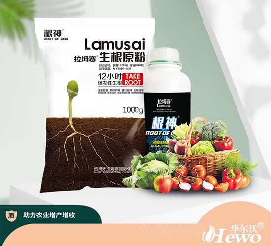 生根原粉-拉坶賽-華爾沃