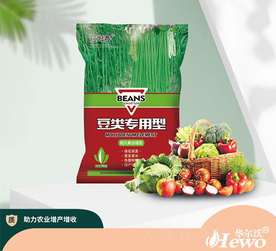 ������ͷ���-����ِ-�A����