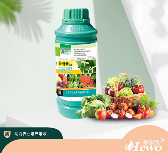 �|̦�؃���-�A����