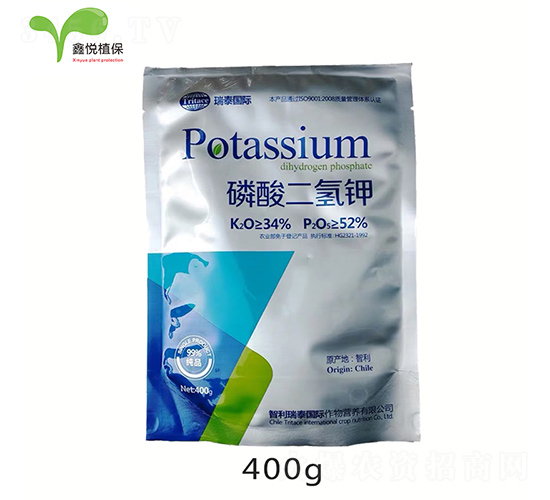 ��������-�ΐ��r�I