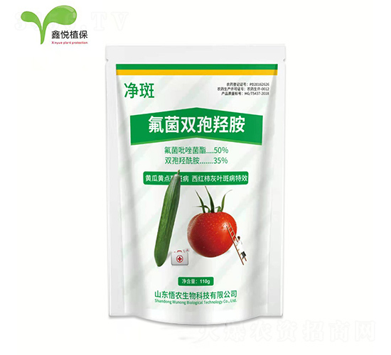 �����p���u��-����-�ΐ��r�I