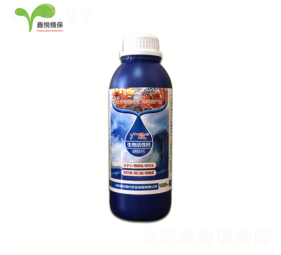 ��������Ǵ��}-�V��-�ΐ��r�I