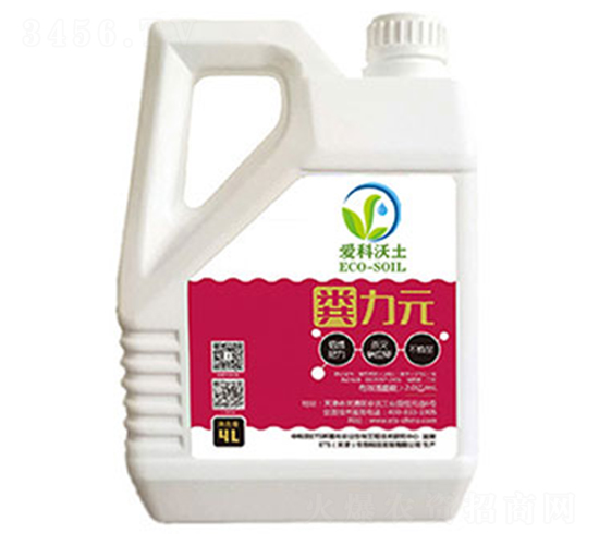 �S��Ԫ-�ۿ�����