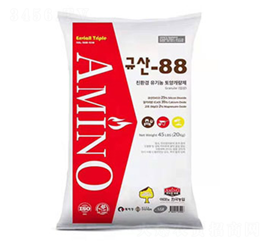 �����{�턩-�ۿ�����