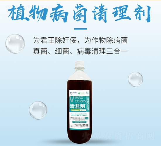 植物病菌清理劑-清君側-百豐生物