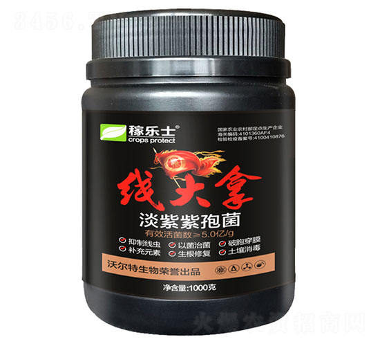 線大拿（淡紫紫孢菌）-稼樂土-沃爾特