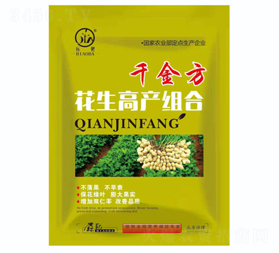 �����߮a�M��-ǧ��-�˰�����