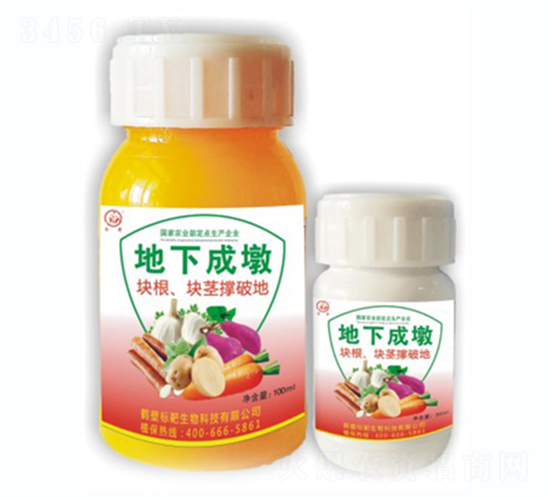 ���³ɶ�-�˰�����