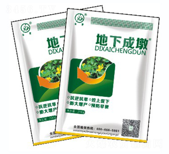 ���³ɶշۄ�-�˰�����