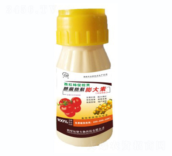 ���t��Ě�����������-�˰�����