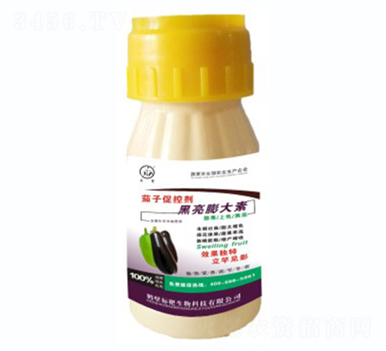 ���Ӻ��������-�˰�����