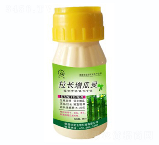 ���L�����`-�˰�����