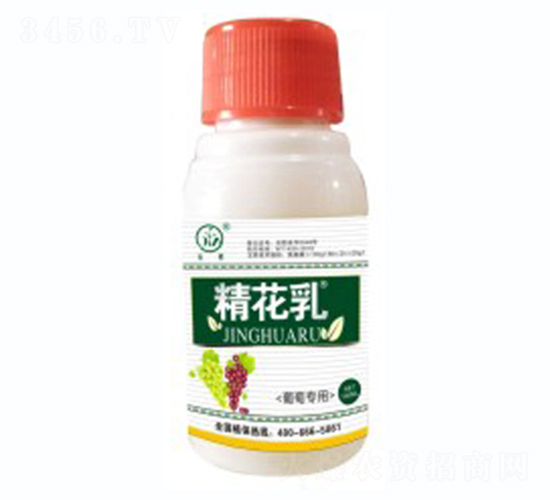 ���ь��þ�����-�˰�����