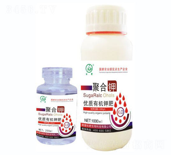 �ۺ��-�˰�����