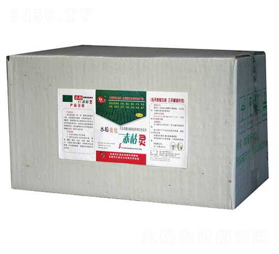 ����`���䣩-�R���r��